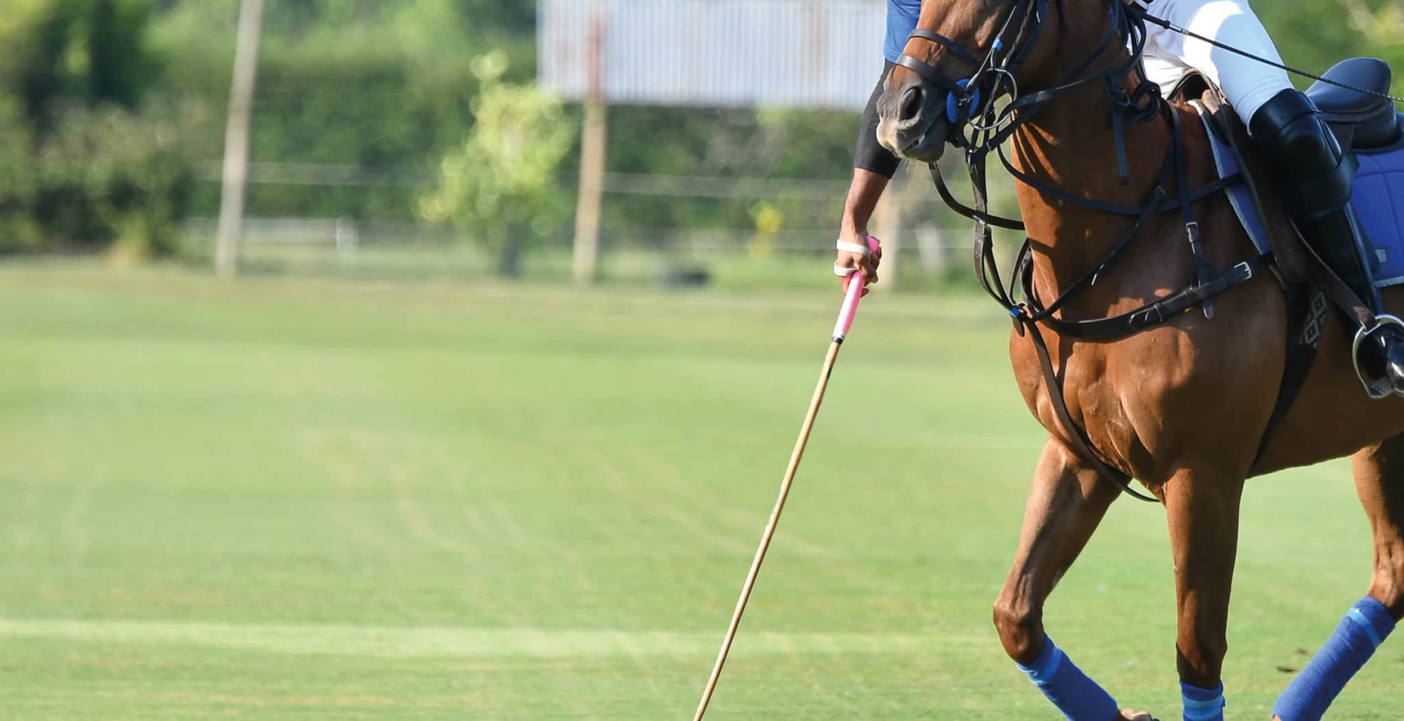 The Equine Discipline of Polo We Take A Closer Look StreamZ Global