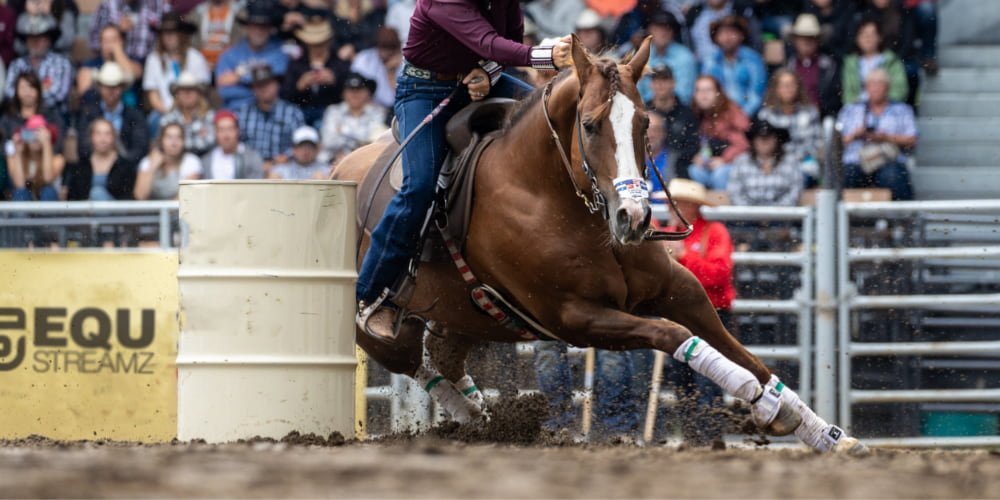 Commopnly used tack in barrel racing which support sporst horse such as barrel racers and support their joints